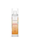 Summer Love Ventus Gift Box Bl 250ml + Mist 100ml